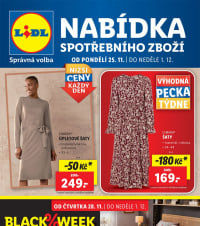 Akční leták Lidl  - Nabídka spotřebního zboží