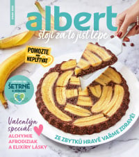 Akční leták Albert magazín