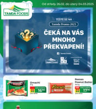 Akční leták TAMDA FOODS 