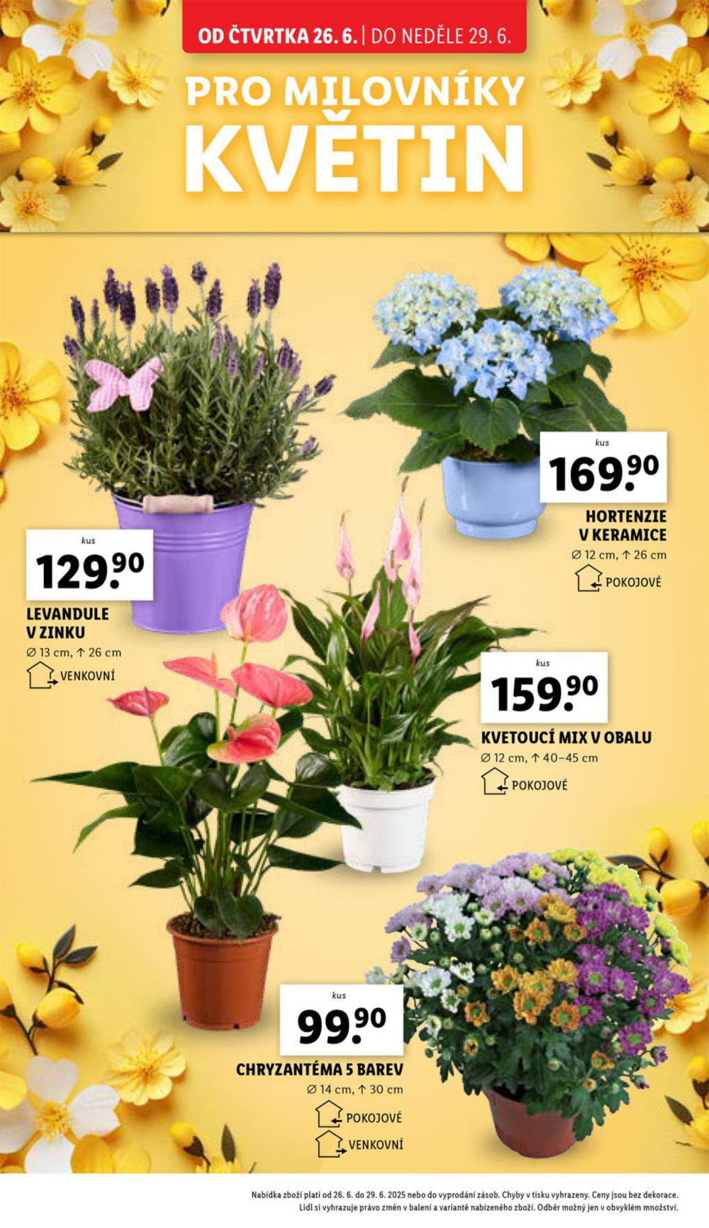 Leták Lidl leták od čtvrtka - Škola končí, zábava začíná - strana 30