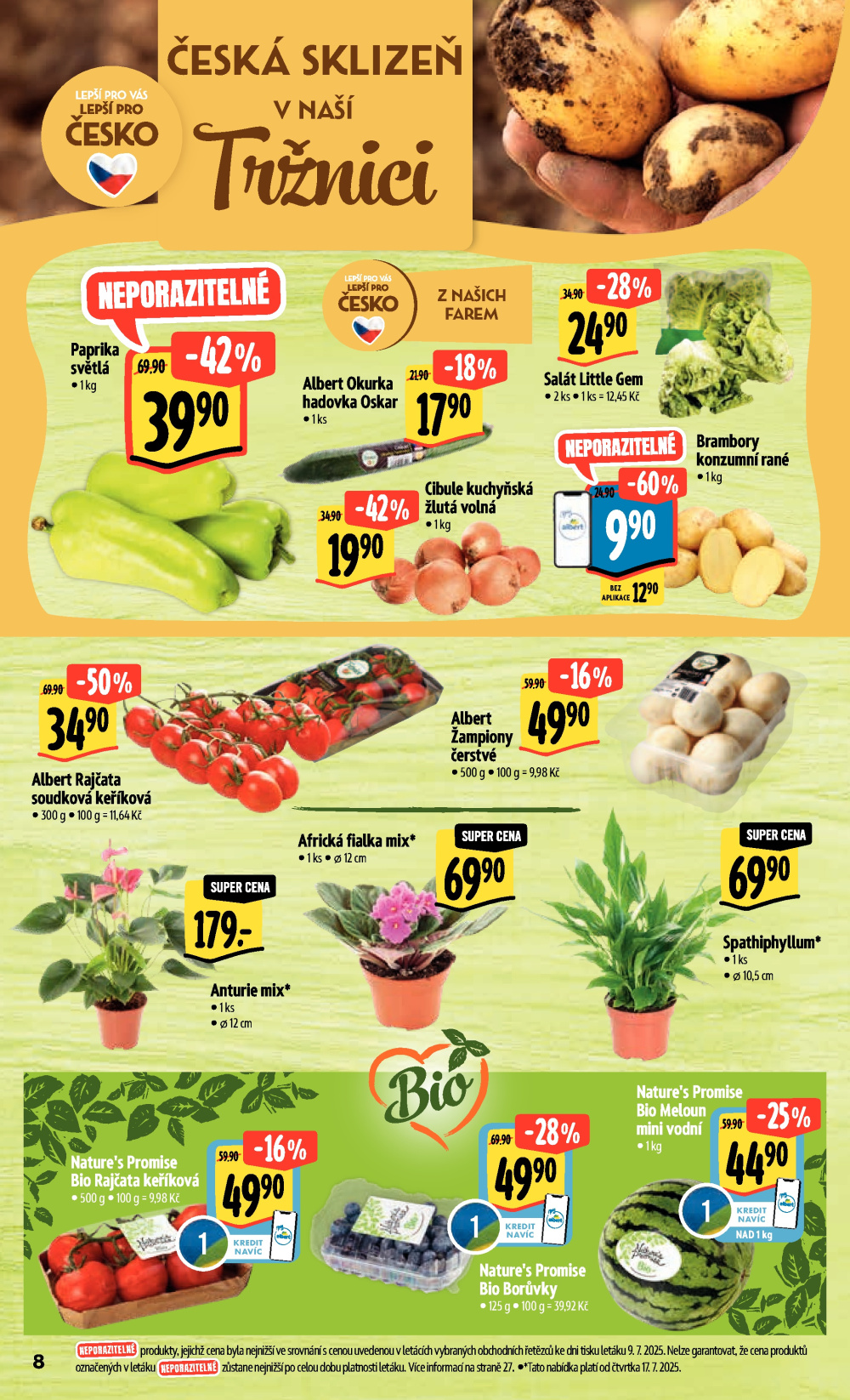Leták Albert Hypermarket leták - strana 13