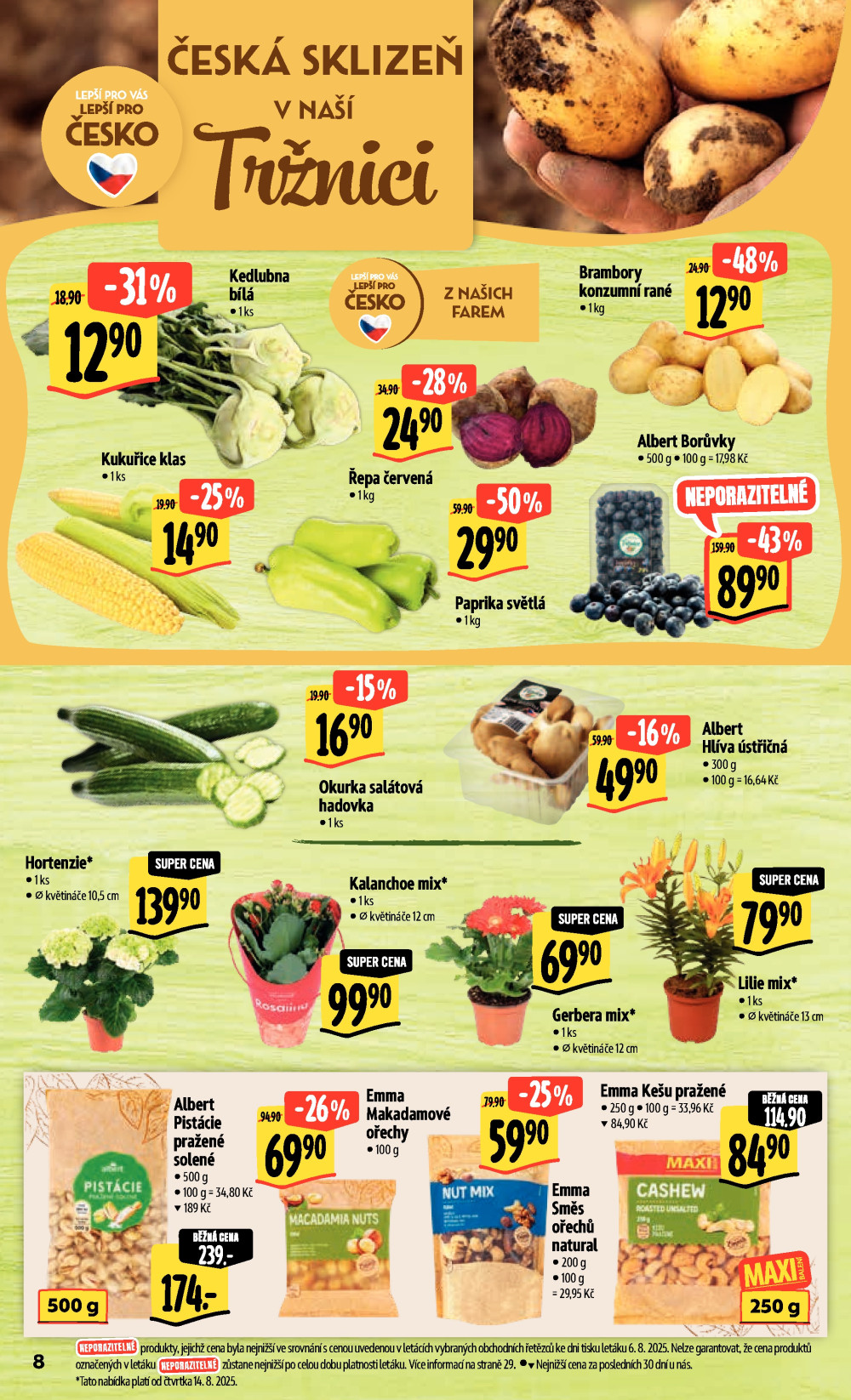Leták Albert Hypermarket leták - strana 13