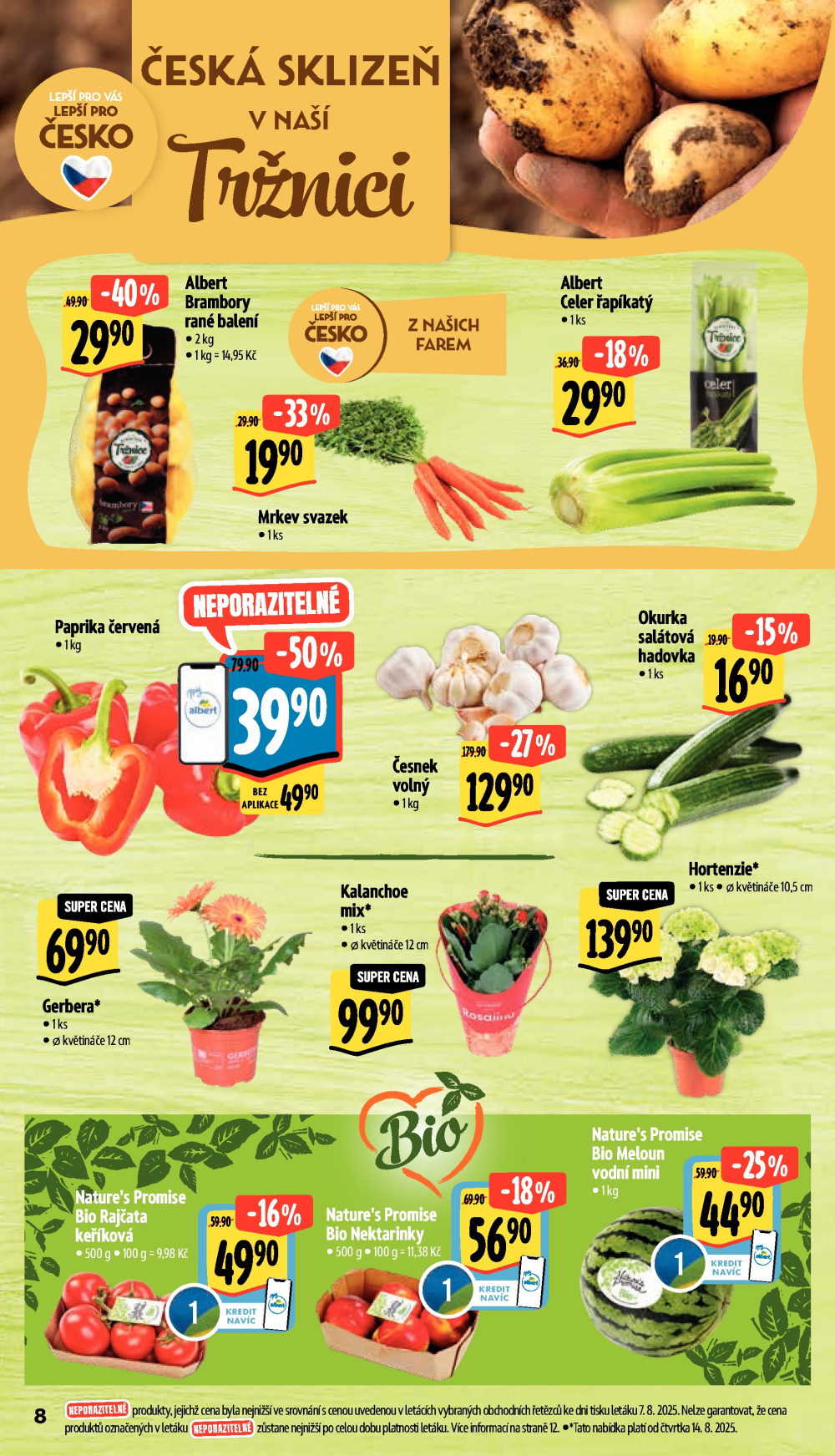 Leták Albert Supermarket leták - strana 13