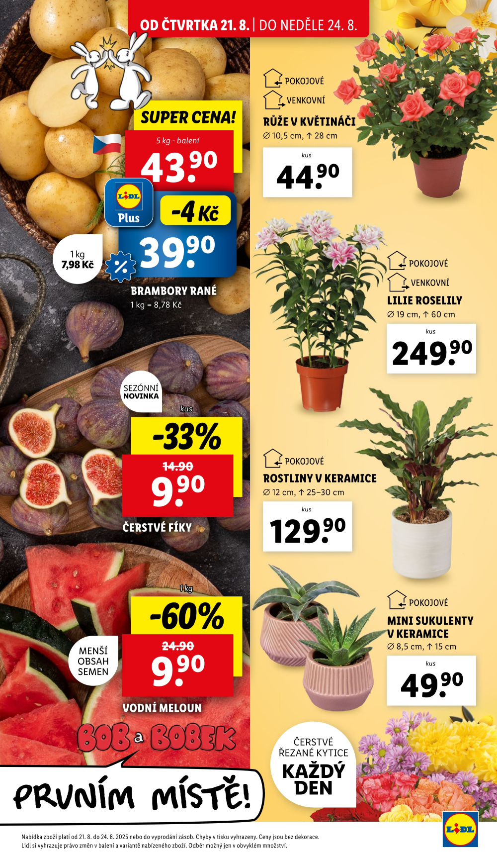 Leták Lidl leták od čtvrtka - strana 11