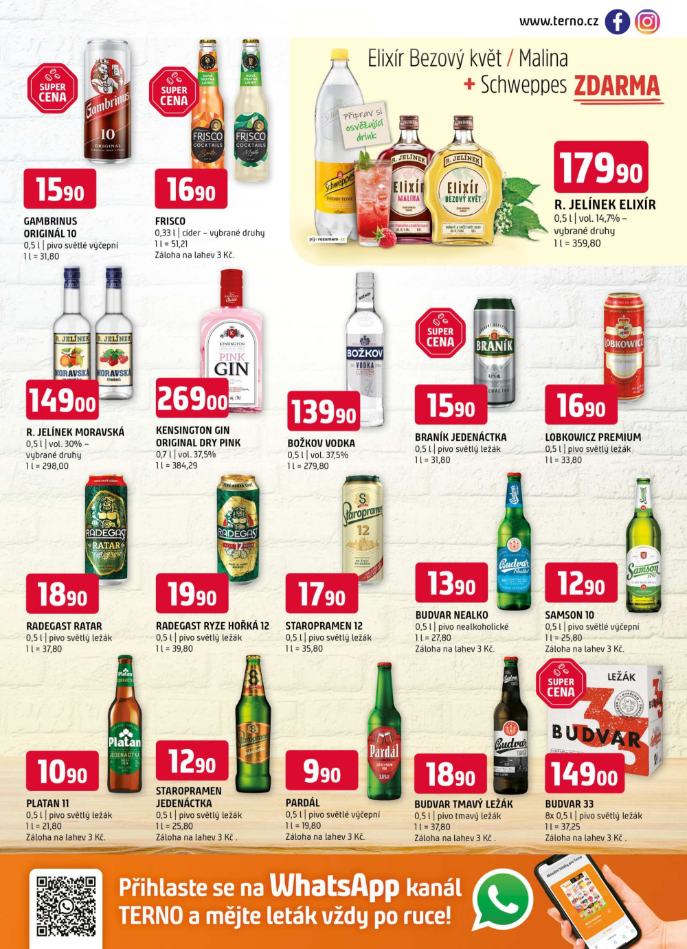 Leták Terno leták - České Budějovice, Olomouc, Hradec Králové, Třeboň, Trhové Sviny, Bechyně, Týn nad Vltavou - strana 13