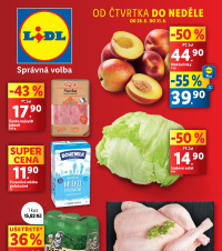 Akční leták Lidl  od čtvrtka - Inspirace v jihoamerickém stylu