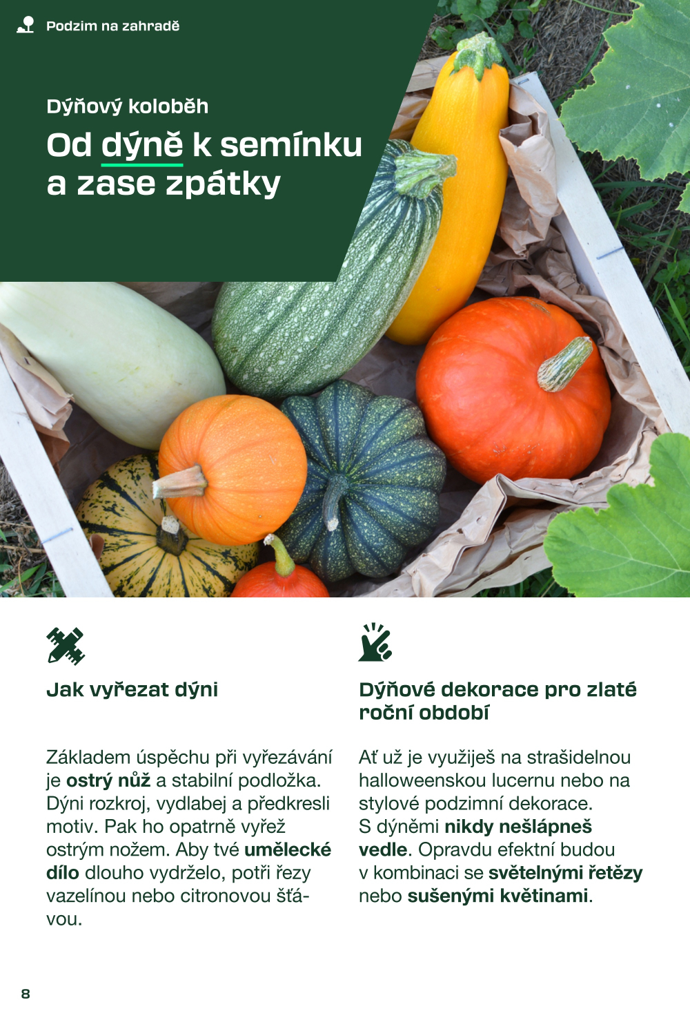 Leták Lidl leták - Magazín pro kutily - strana 8