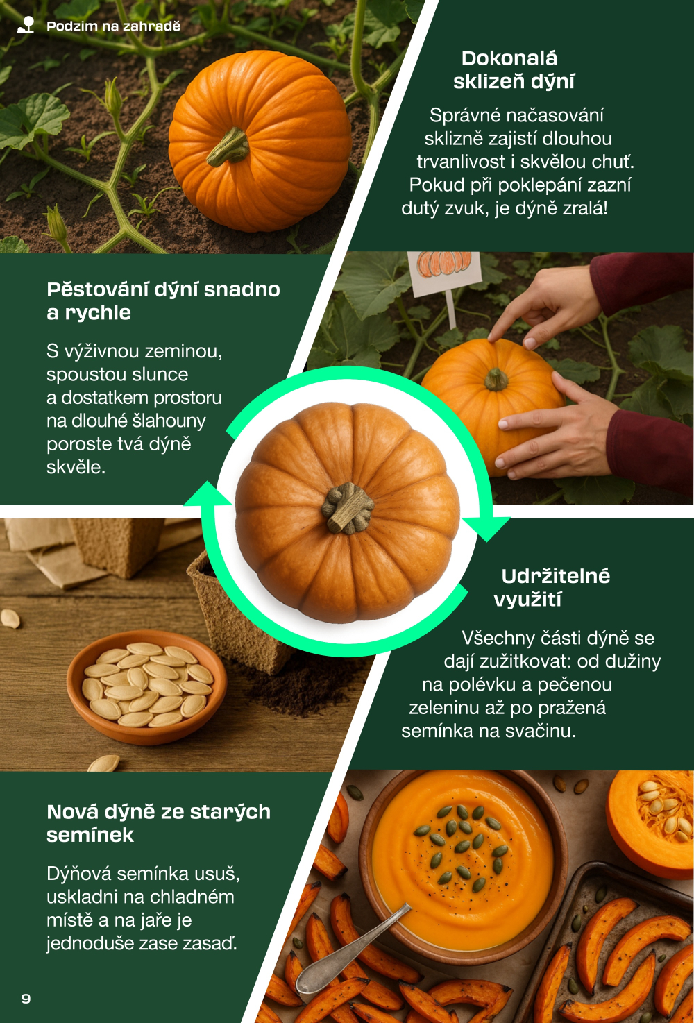 Leták Lidl leták - Magazín pro kutily - strana 9