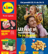 Akční leták Lidl  od pondělí - XXL více za méně