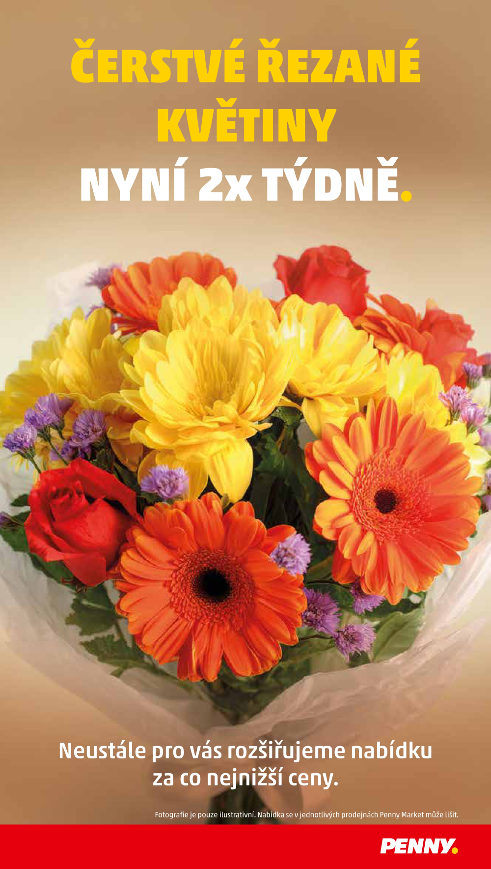 Leták Penny Market leták - strana 36