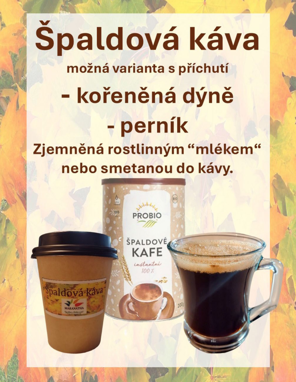 Leták eBrumlovka magazín - strana 45