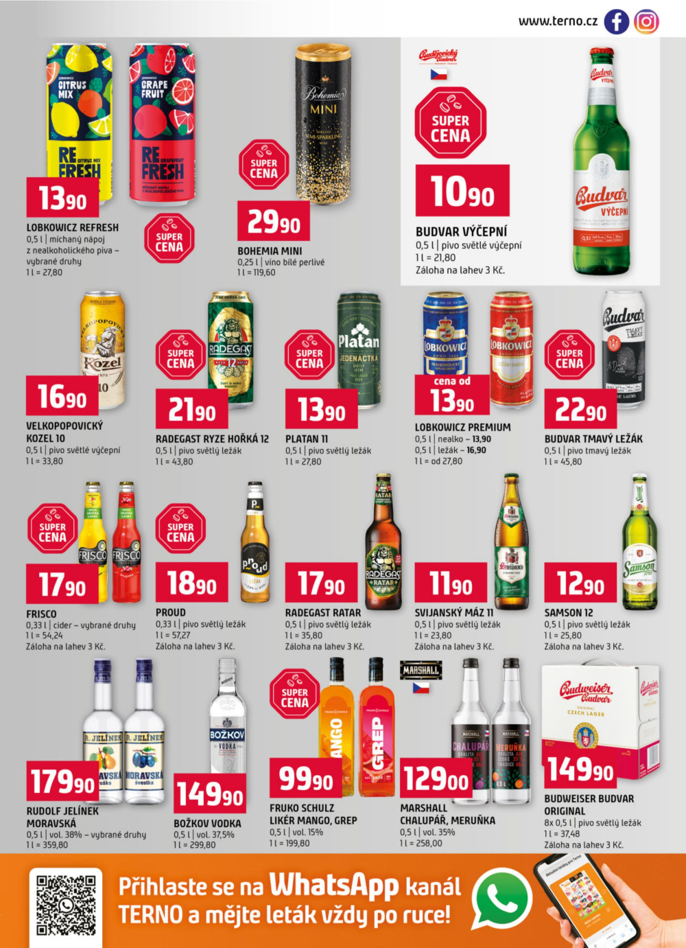 Leták Terno leták - České Budějovice, Týn nad Vltavou, Bechyně, Třeboň, Trhové Sviny, Borovany, Olomouc, Hradec Králové - strana 13