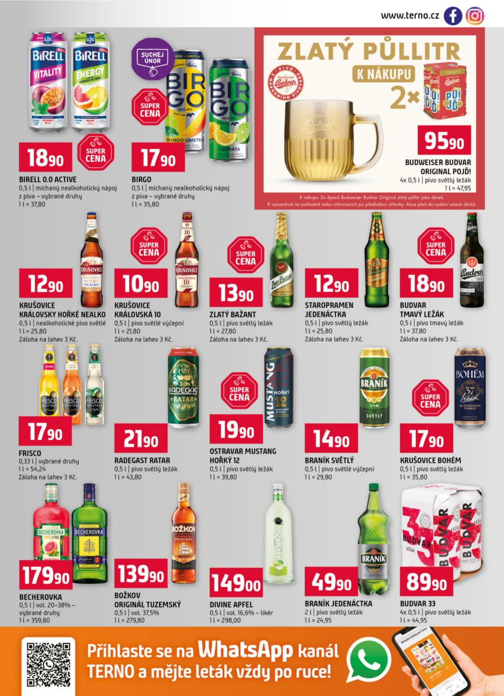 Leták Terno leták - České Budějovice, Hradec Králové, Olomouc, Bechyně, Třeboň, Trhové Sviny, Týn nad Vltavou, Borovany - strana 13