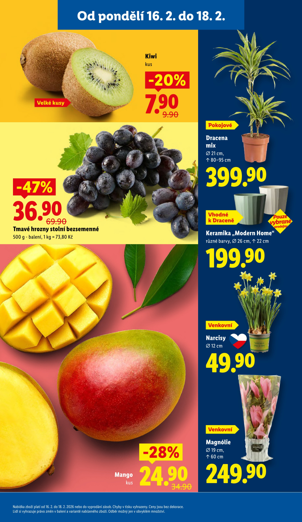 Leták Lidl leták od pondělí - strana 11