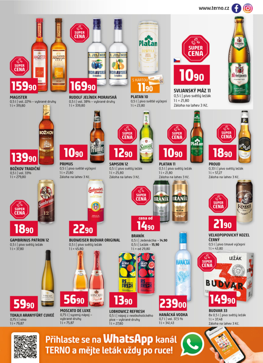 Leták Terno leták - Trhové Sviny, Bechyně, Třeboň, Týn nad Vltavou, České Budějovice, Hradec Králové, Olomouc a Borovany - strana 13