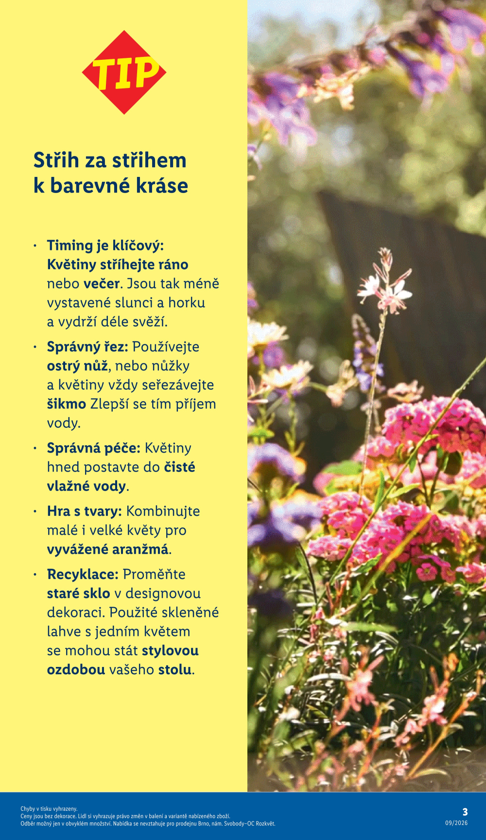 Leták Lidl leták - Zahradní magazín - strana 3