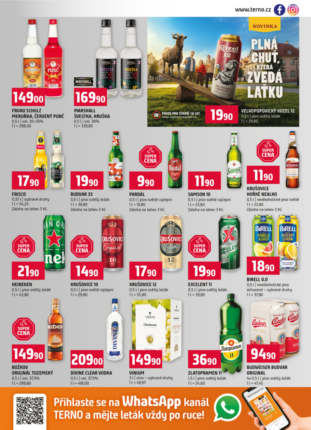 Leták Terno leták - České Budějovice, Hradec Králové, Olomouc, Týn nad Vltavou, Třeboň, Bechyně, Trhové Sviny, Borovany - strana 13