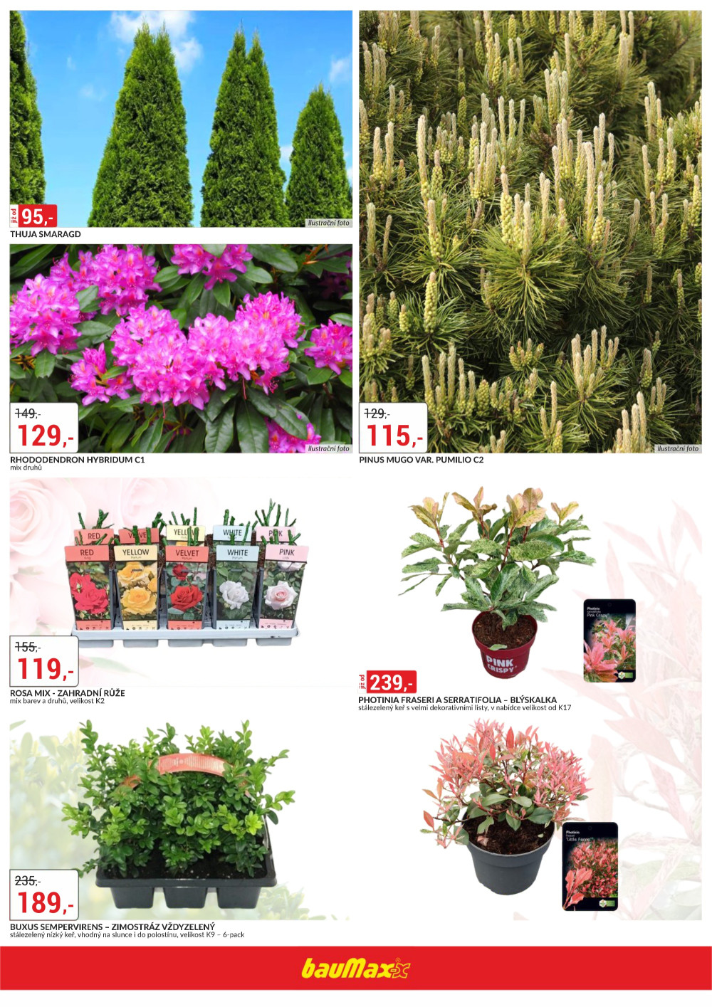 Leták bauMax leták - Jaro v zahradě - strana 2