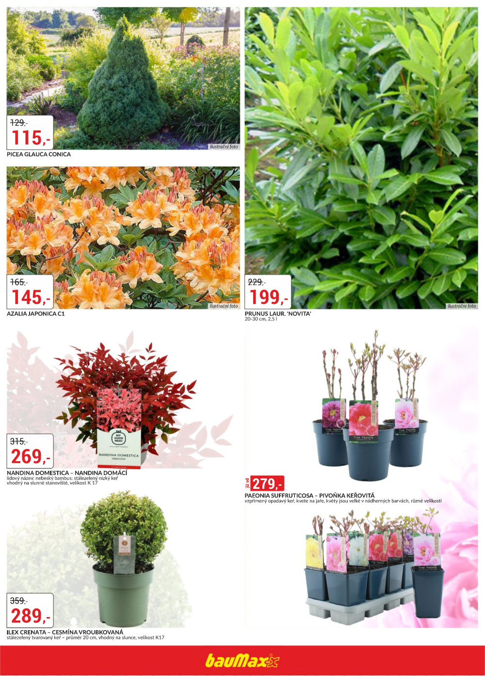 Leták bauMax leták - Jaro v zahradě - strana 3