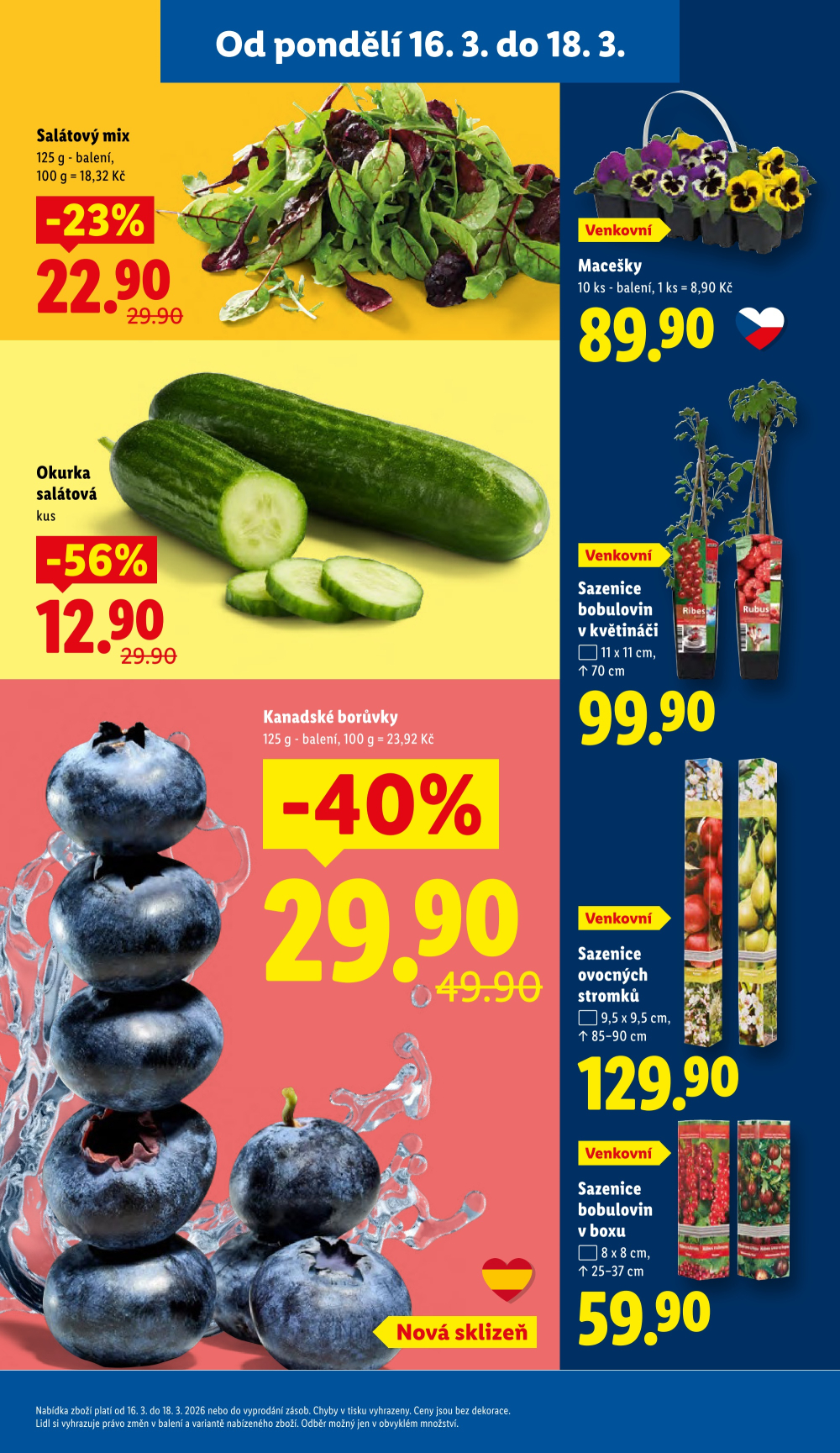 Leták Lidl leták od pondělí - strana 13