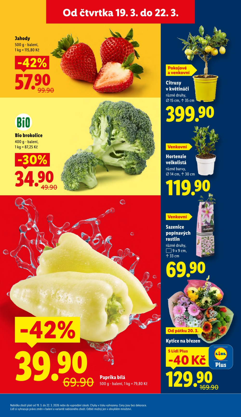 Leták Lidl leták od čtvrtka - strana 11
