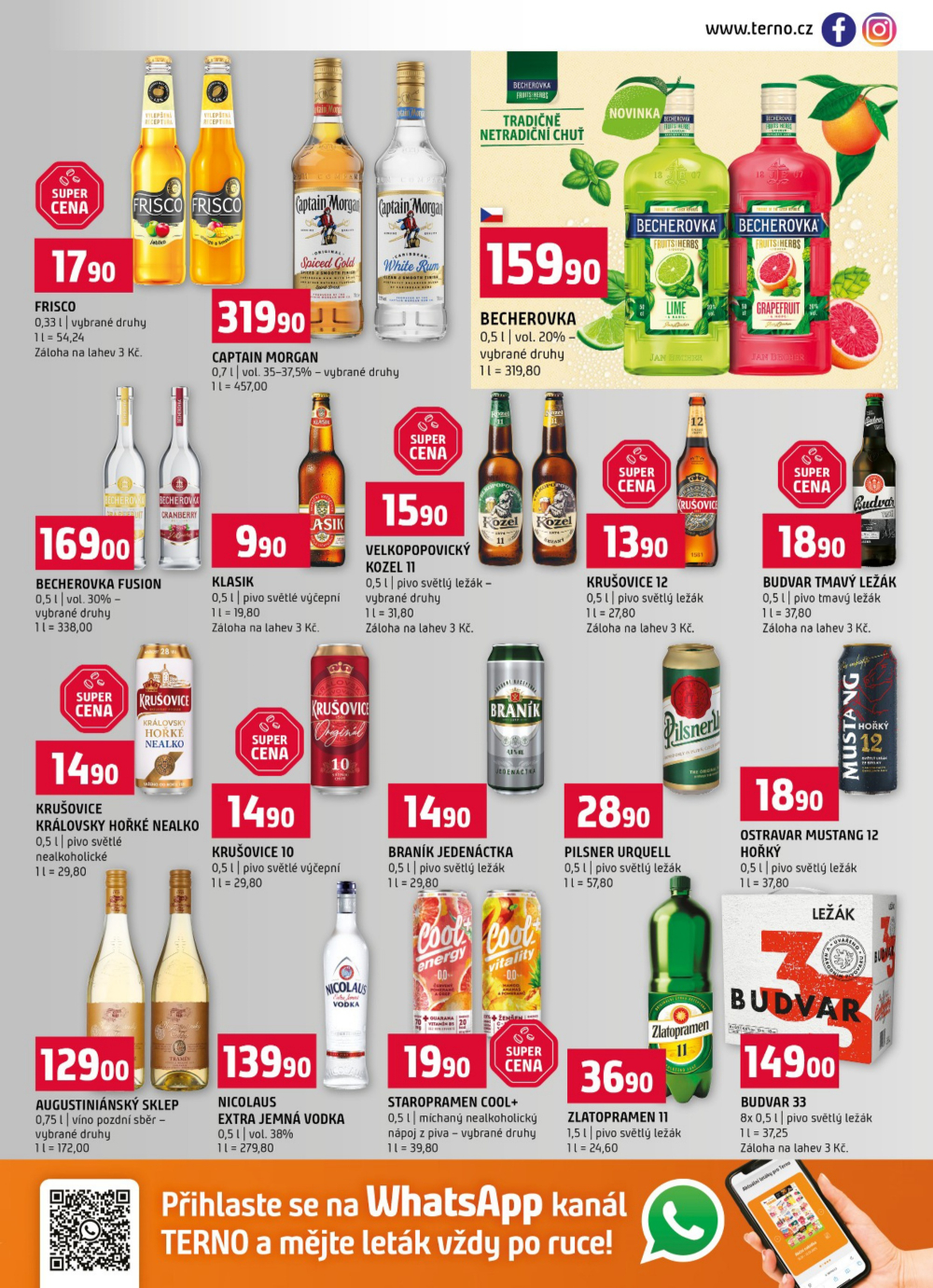Leták Terno leták - Strakonice, Blatná - strana 13