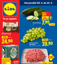 Akční leták Lidl  od pondělí