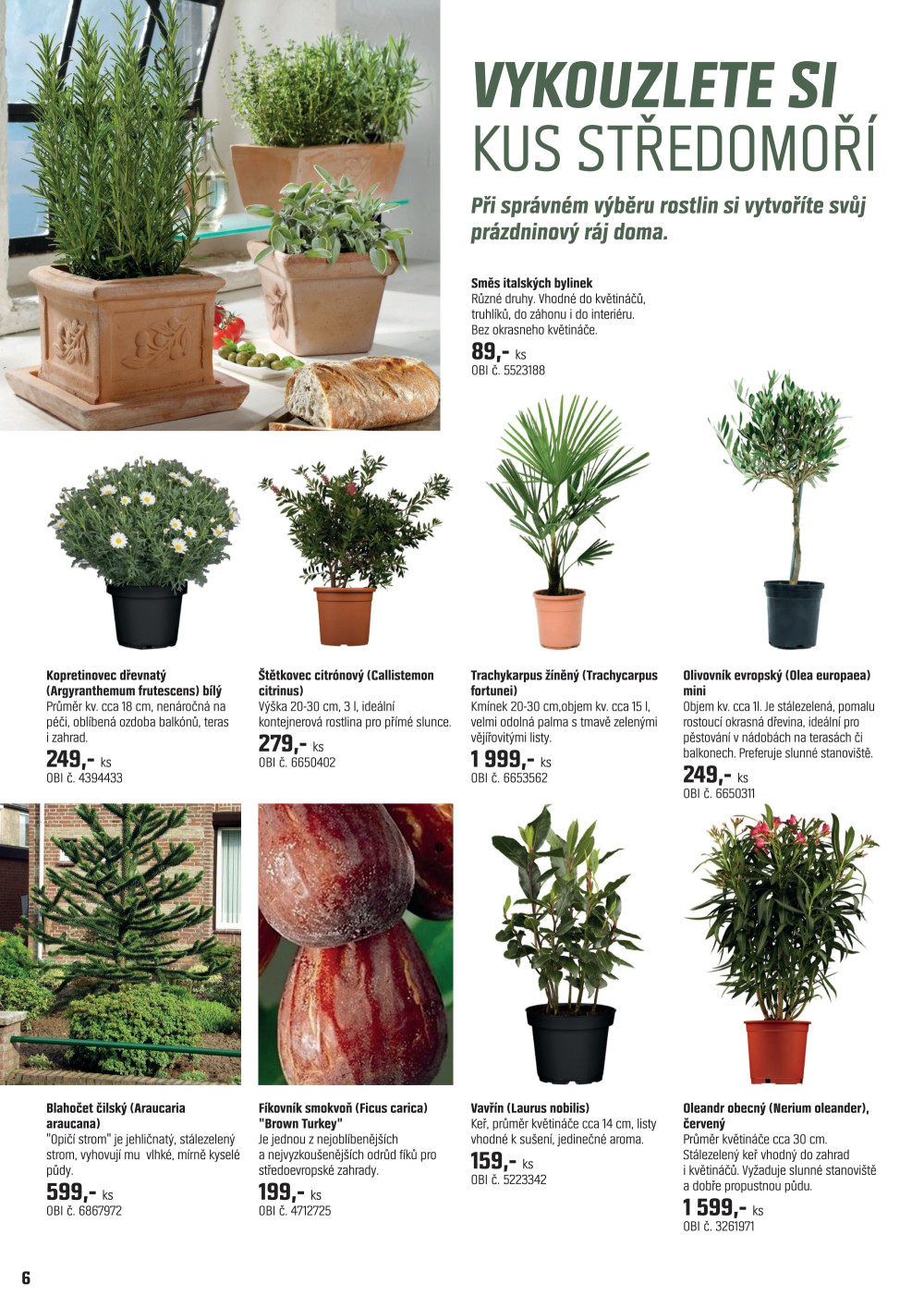 Leták OBI leták - Dokážete cokoliv na své zahradě - strana 6