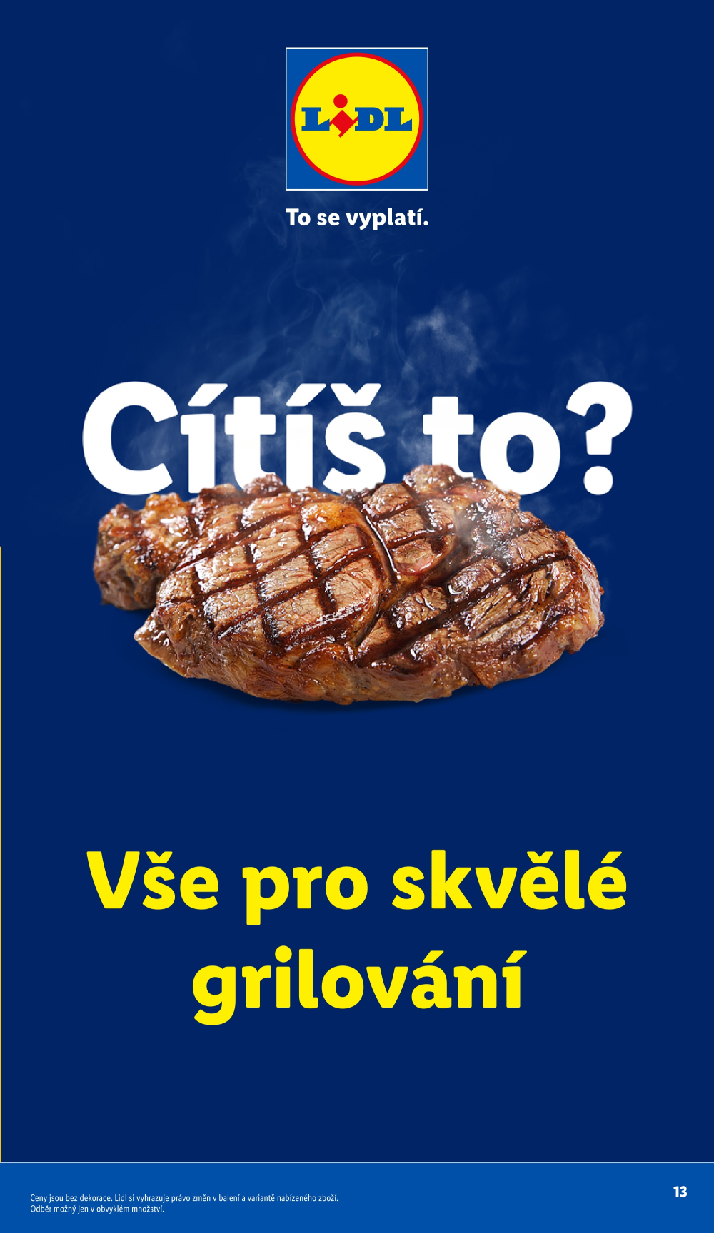 Leták Lidl leták - Grill & Fun - strana 13