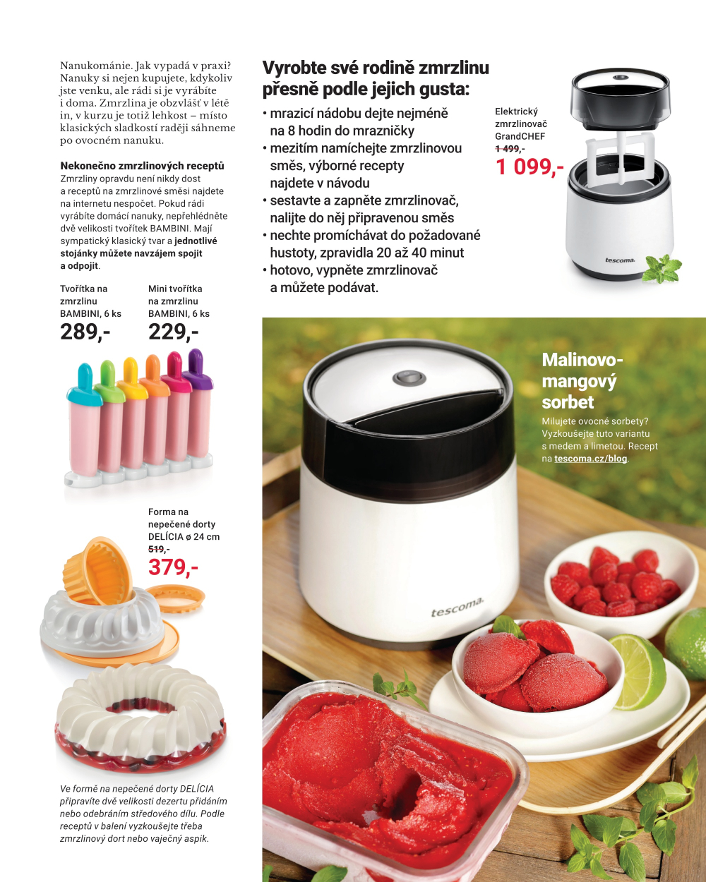 Leták Tescoma katalog - Léto - strana 21