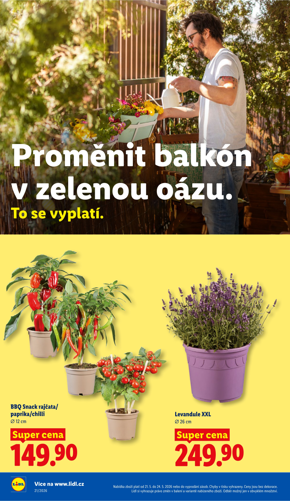 Leták Lidl leták od čtvrtka - strana 36