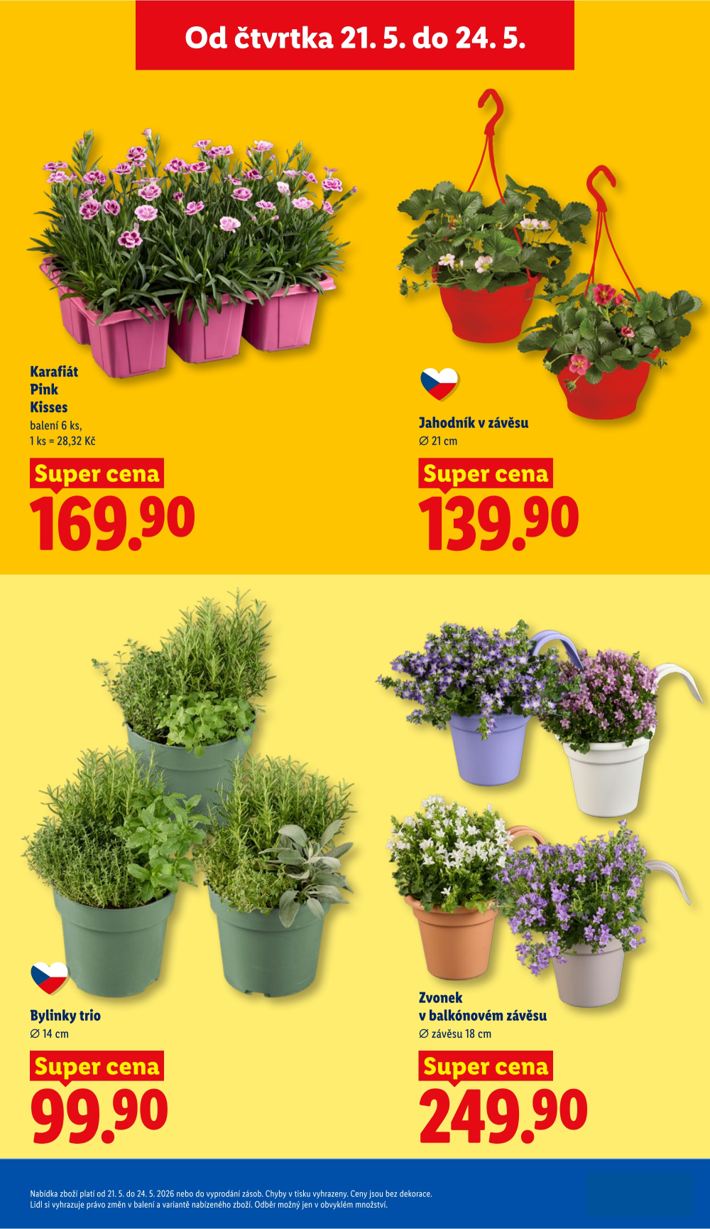 Leták Lidl leták od čtvrtka - strana 37