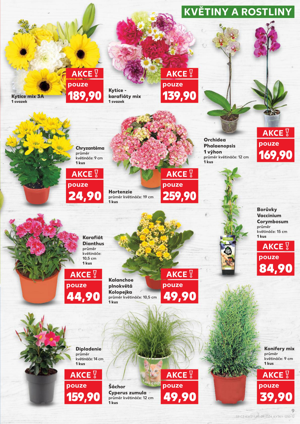 Leták Kaufland leták Praha 6 - Podbaba - strana 9