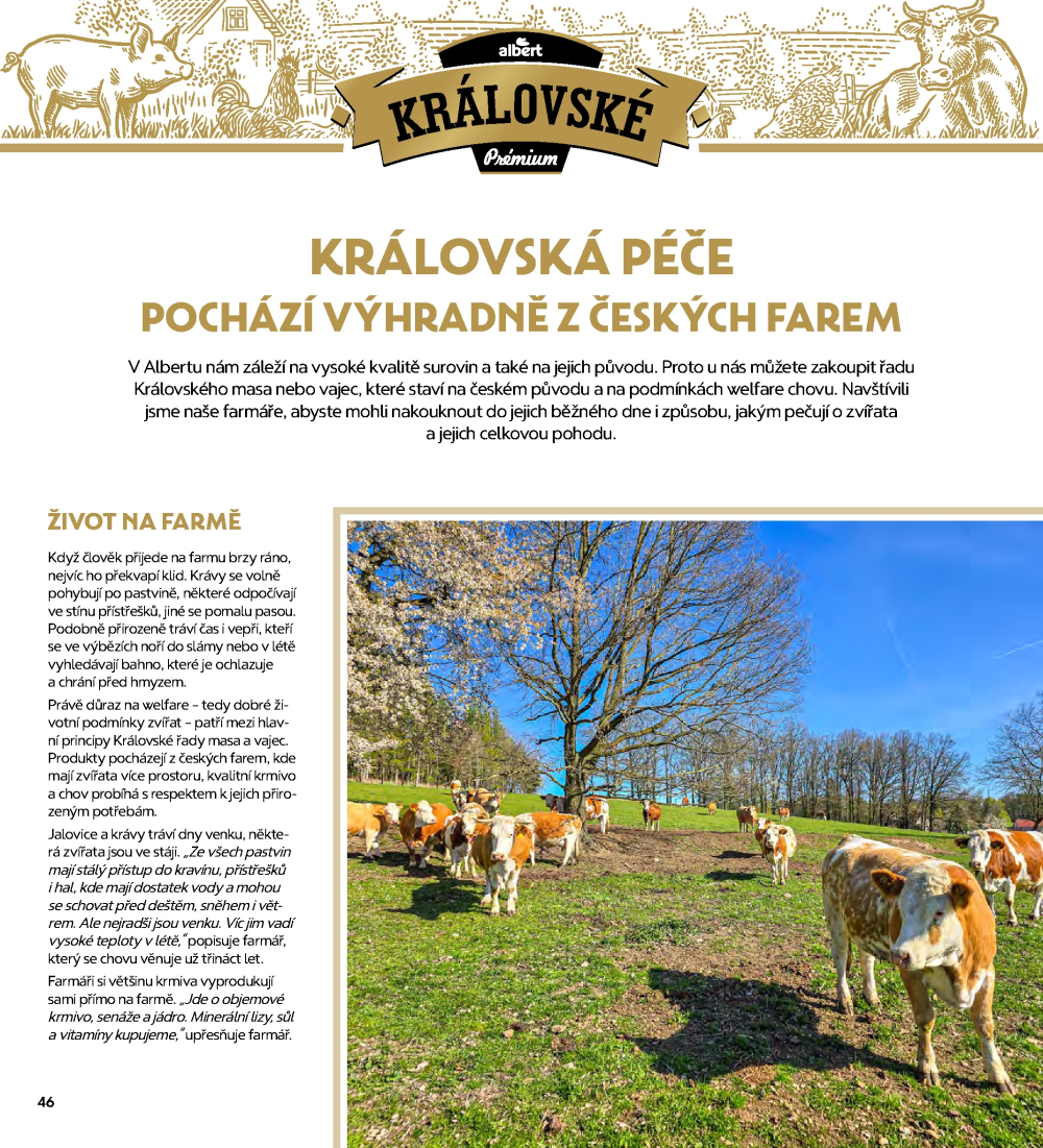 Leták Albert magazín - strana 46