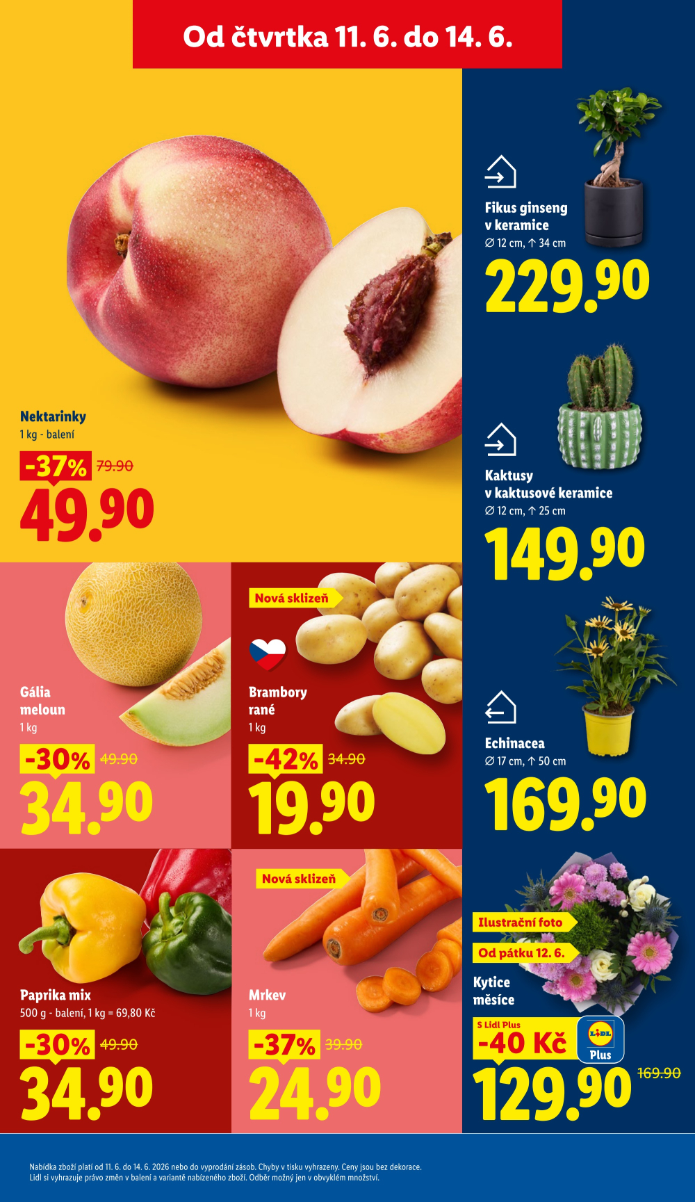 Leták Lidl leták od čtvrtka - strana 13