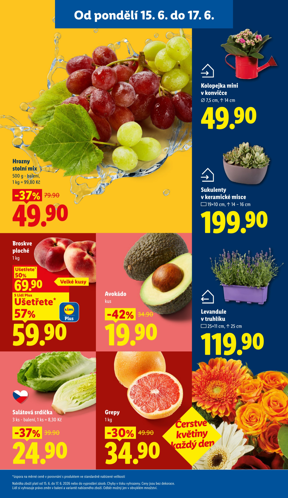 Leták Lidl leták od pondělí - strana 11