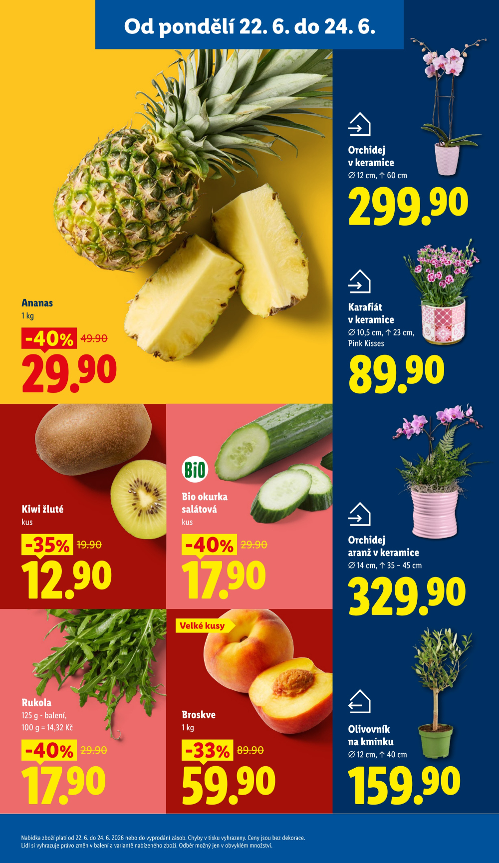 Leták Lidl leták od pondělí - strana 13