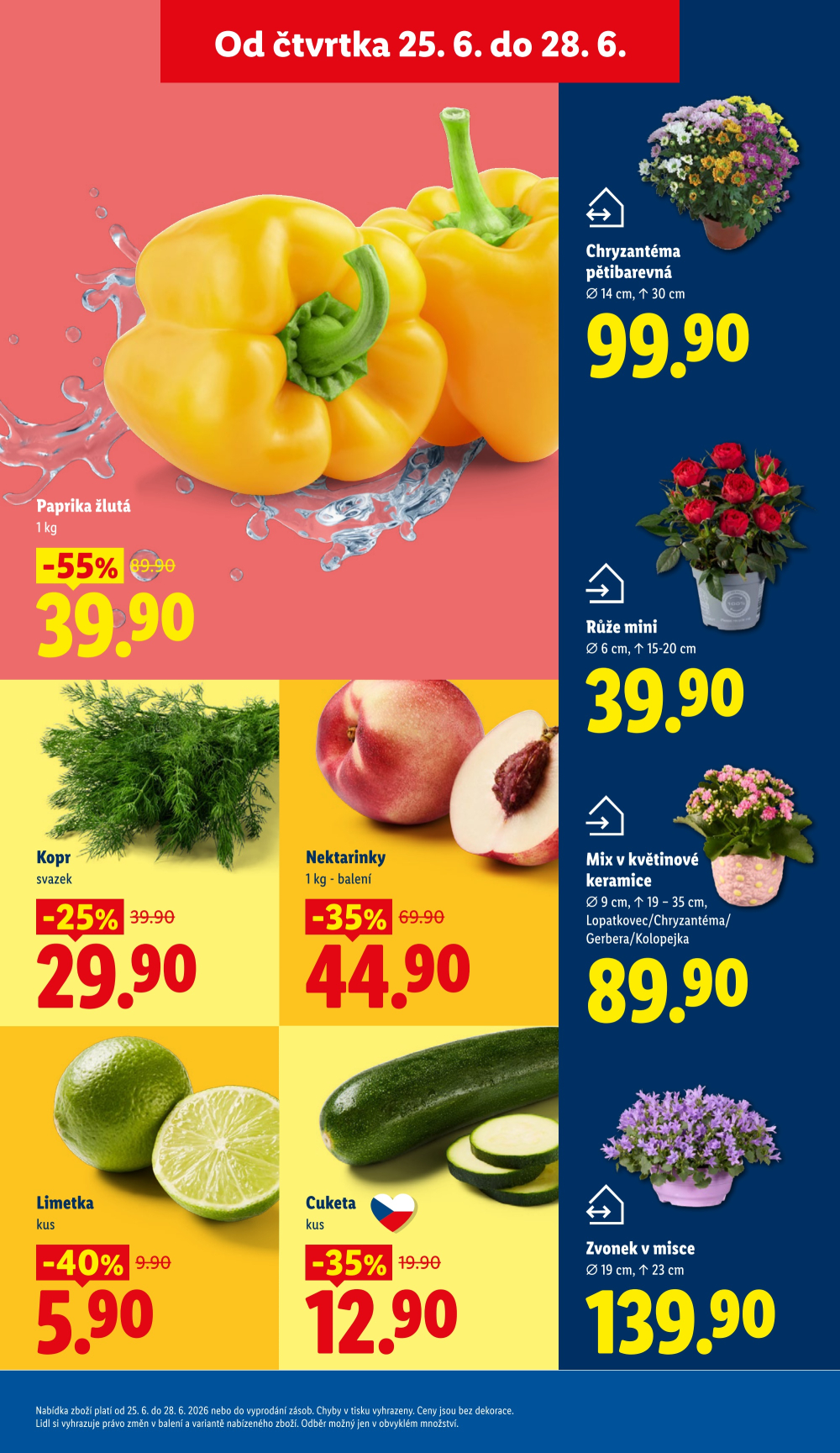 Leták Lidl leták od čtvrtka - strana 13