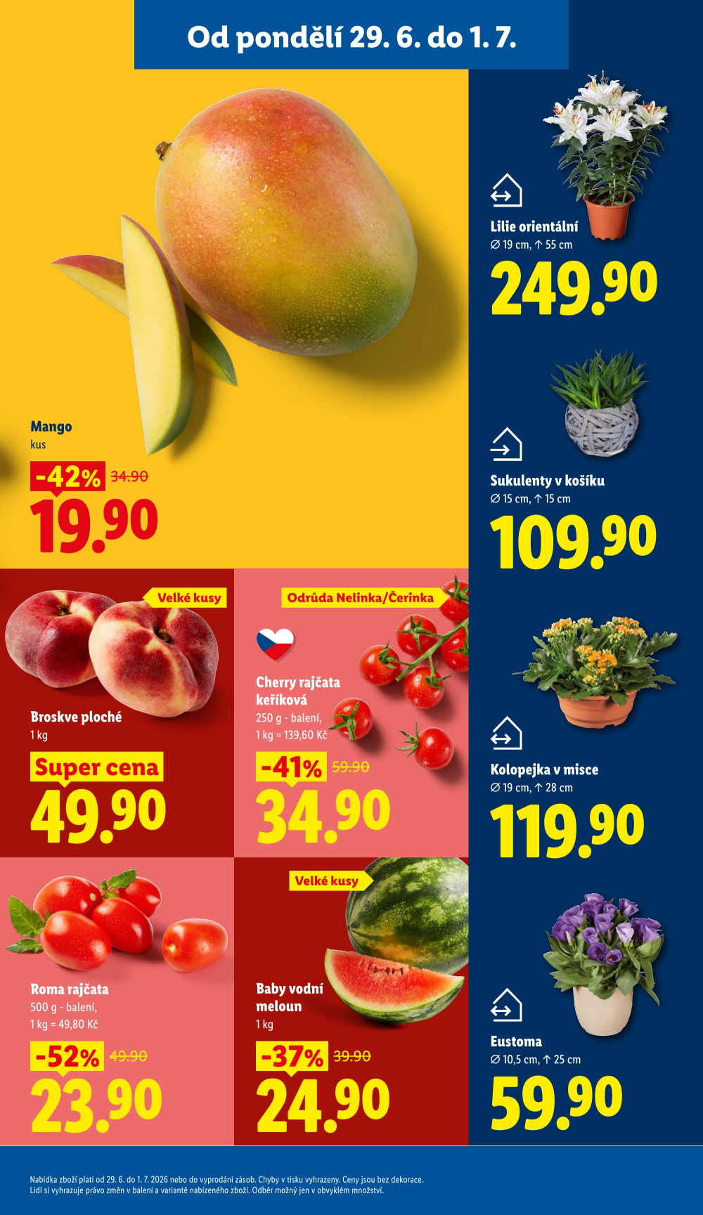 Leták Lidl leták od pondělí - strana 13
