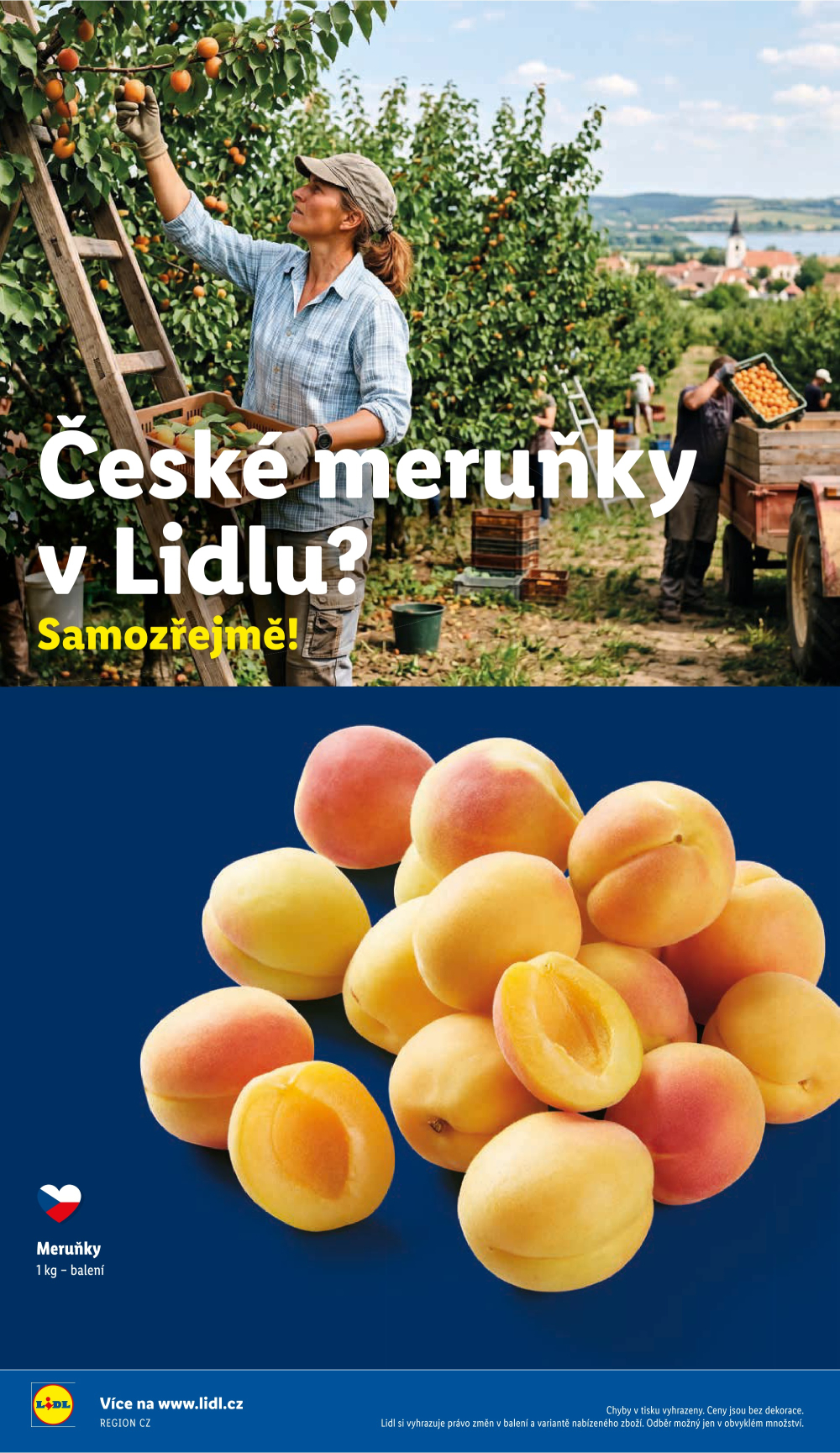 Leták Lidl leták od čtvrtka - strana 51
