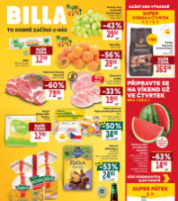 Akční leták BILLA malý 