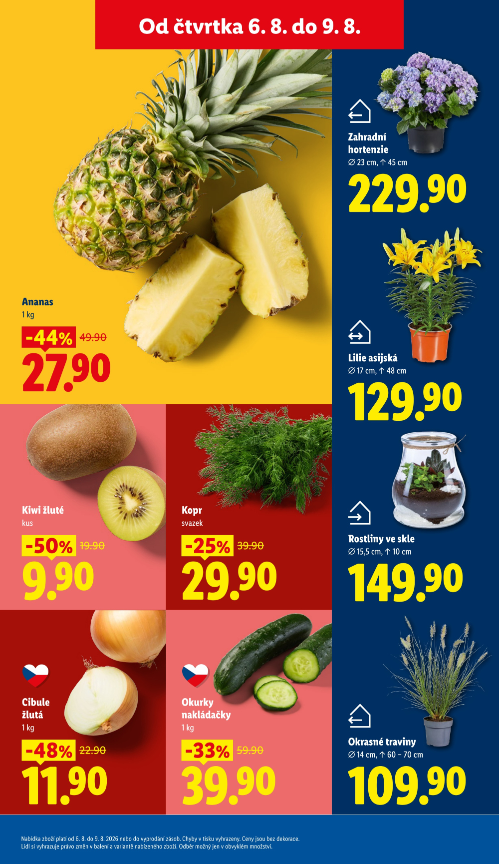Leták Lidl leták od čtvrtka - strana 13