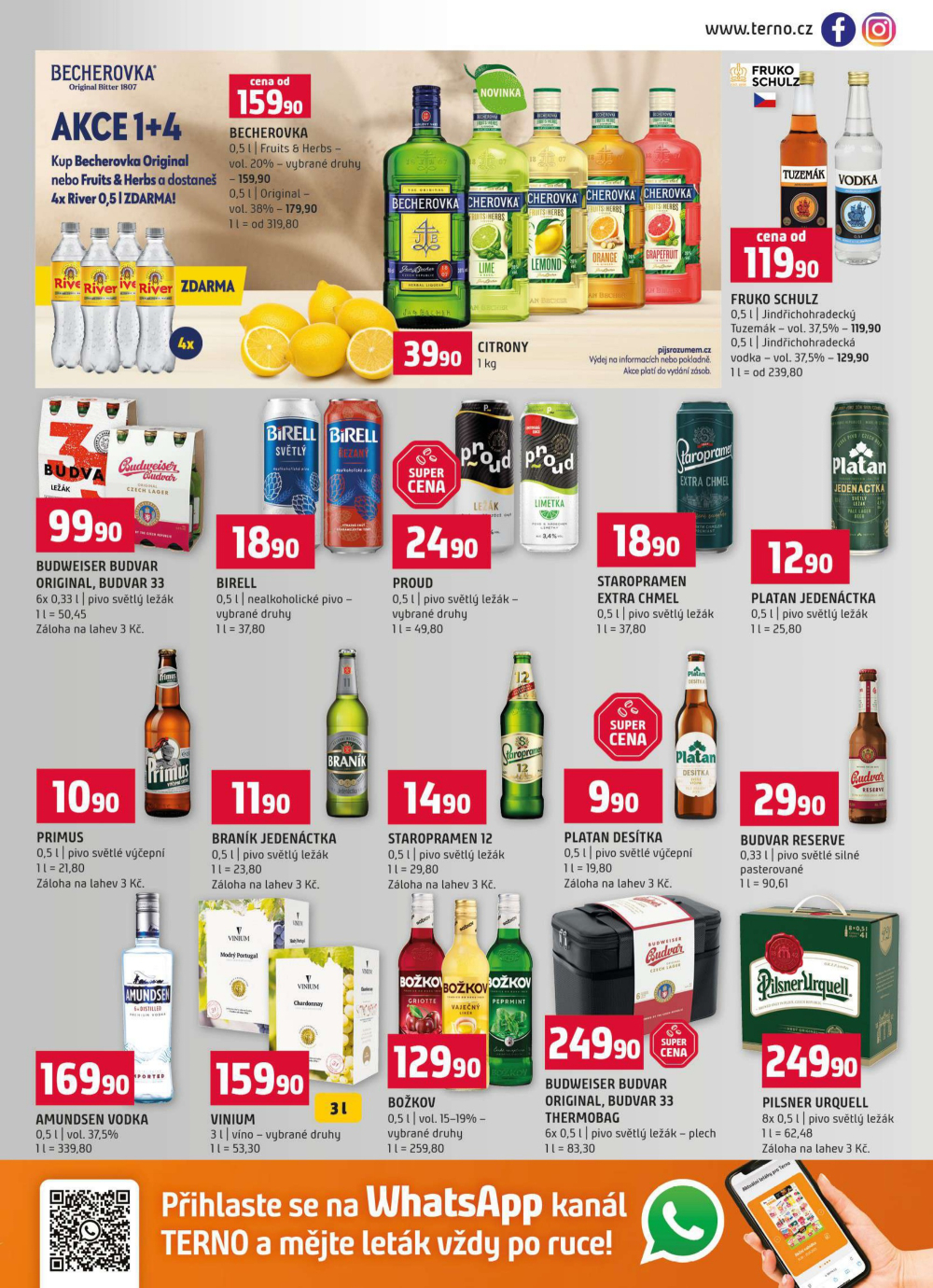 Leták Terno leták - Bechyně, Třeboň, Týn nad Vltavou, Trhové Sviny, Borovany - strana 13