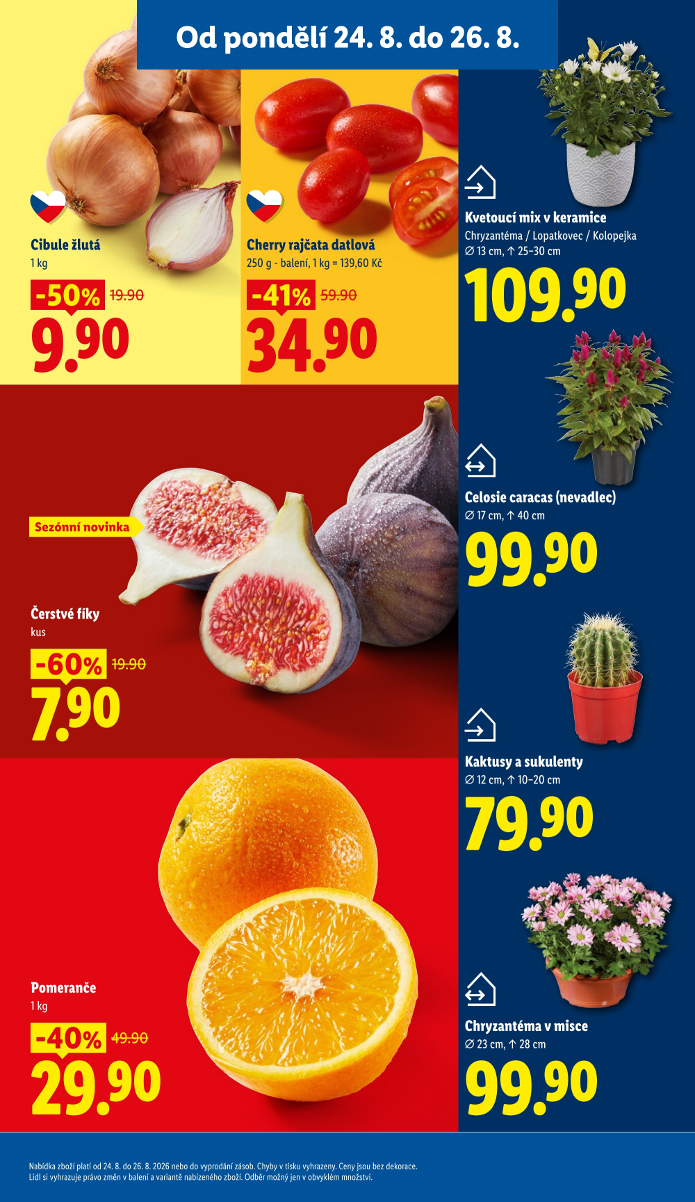 Leták Lidl leták od pondělí - strana 13