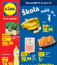 Akční leták Lidl  od pondělí