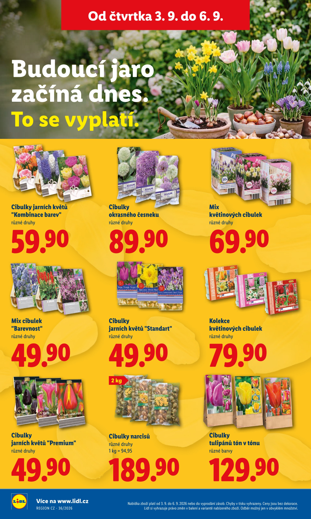 Leták Lidl leták od čtvrtka - strana 17