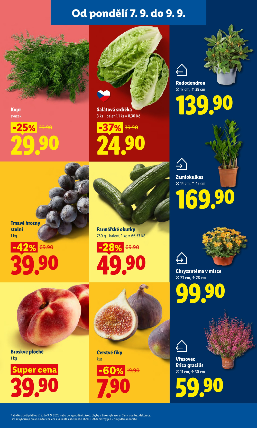 Leták Lidl leták od pondělí - strana 15