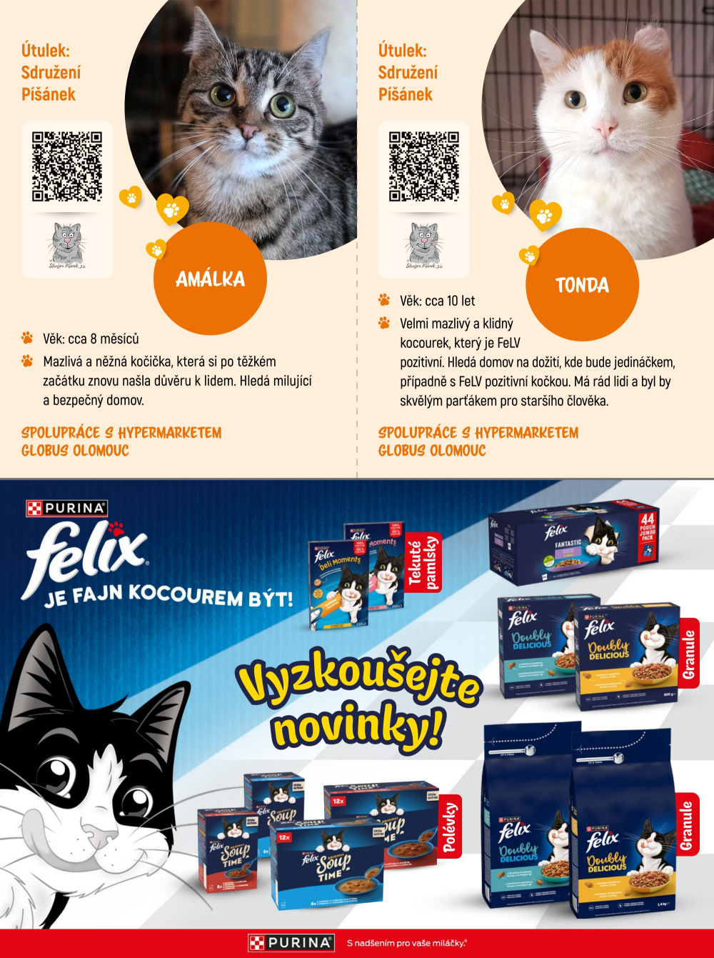 Leták Globus leták - Adoptujte kamaráda! - strana 12