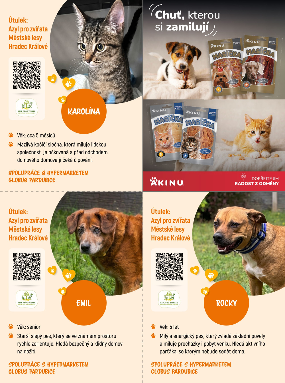 Leták Globus leták - Adoptujte kamaráda! - strana 13