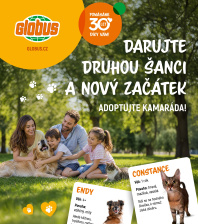 Globus letáky